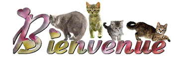bienvenue chats
